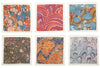 Siren Song Library Cocktail Napkins - Set of 6 - SALE