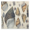 Siren Song Conch Dinner Napkins - Set of 4