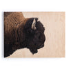 Four Hands American Bison