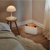 Stadler Form Ben Humidifier & Aroma Diffuser