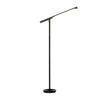 Pablo Brazo Floor Lamp Black 