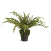 Napa Home & Garden Boston Fern Drop-In