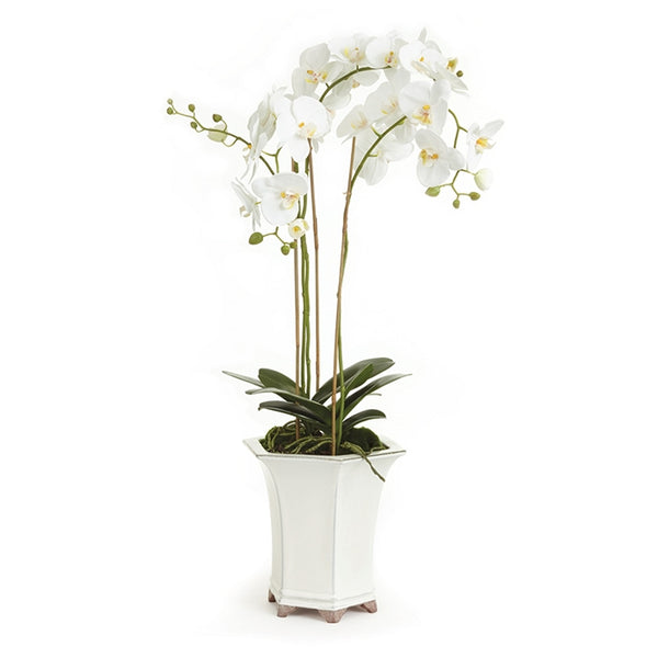 Napa Home & Garden Barclay Butera Phalaenopsis in Ceramic Pot