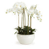 Napa Home & Garden Barclay Butera Phalaenopsis in Ceramic Bowl