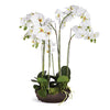 Napa Home & Garden Phalaenopsis Bowl Drop-In