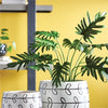 Napa Home & Garden Split Leaf Selloum Drop-In