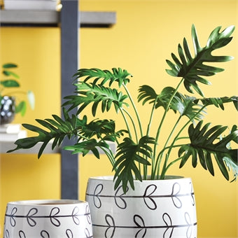 Napa Home & Garden Split Leaf Selloum Drop-In