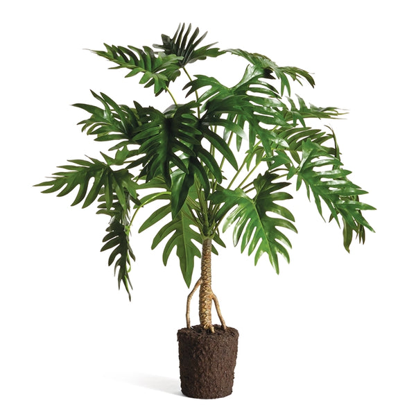 Napa Home & Garden Split Leaf Selloum Drop-In