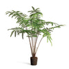 Napa Home & Garden Forest Fern Drop-In
