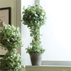 Napa Home & Garden Ivy Single Potted Topiary