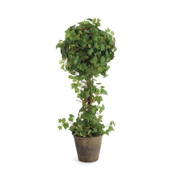 Napa Home & Garden Ivy Single Potted Topiary