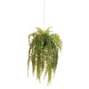 Napa Home & Garden Boston Hanging Fern