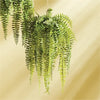 Napa Home & Garden Boston Hanging Fern