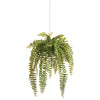 Napa Home & Garden Boston Hanging Fern