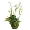 Napa Home & Garden Phalaenopsis & Fern Drop-In