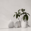 Blomus Ceola Ceramic Vase - 3 inchx5 inch