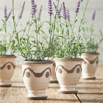 Napa Home & Garden French Lavender Drop-Ins - Set of 6