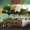 Napa Home & Garden Mini Hydrangea Potted - Set of 12