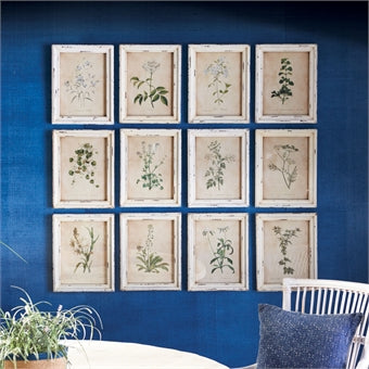 Napa Home & Garden Wild Flower Botanical Prints - Set of 12