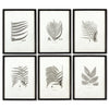 Napa Home & Garden Framed Gray-Tone Fern Prints - Set of 6