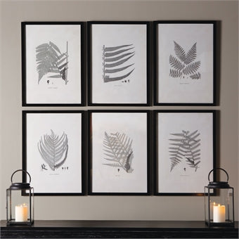 Napa Home & Garden Framed Gray-Tone Fern Prints - Set of 6