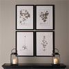 Napa Home & Garden Framed Sepia-Tone Botanical Prints - Set of 4