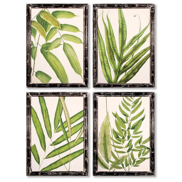 Napa Home & Garden Tropical Leaf Prints - Set of 4