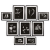 Napa Home & Garden X-Ray Leaf Study Gallery - Set of 9