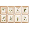 Napa Home & Garden Spring Botanical Prints - Set of 8