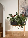 Design House Stockholm Botanic Stand