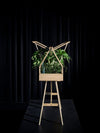 Design House Stockholm Greenhouse 