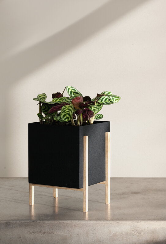 Design House Stockholm Botanic Pot