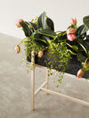 Design House Stockholm Botanic Stand