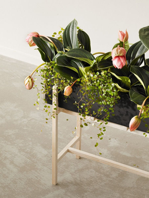 Design House Stockholm Botanic Stand