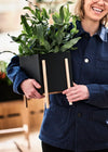 Design House Stockholm Botanic Pot