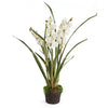 Napa Home & Garden Cymbidium Orchid Drop-In