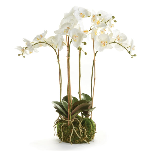 Napa Home & Garden Phalaenopsis Orchid Bowl Drop-In