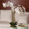 Napa Home & Garden Phalaenopsis Orchid Drop-In