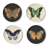 Thomas Paul Metamorphosis Coaster - Set of 4