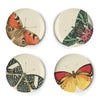 Thomas Paul Metamorphasis Side Plate Set of 4 