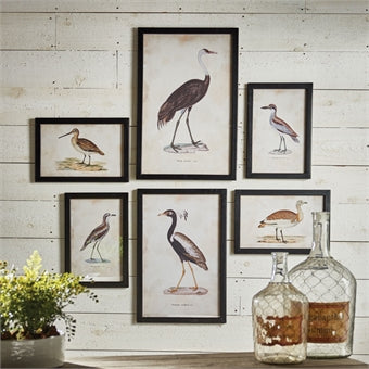 Napa Home & Garden Waterfowl Gallery - Set of 6
