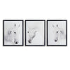 Napa Home & Garden Wild Horses Photo Prints - Set of 3