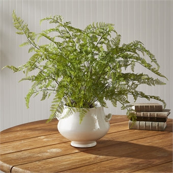 Napa Home & Garden Soft Fern Drop-In