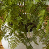 Napa Home & Garden Soft Fern Drop-In