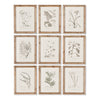 Napa Home & Garden Botanical Illustrations - Set of 9