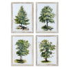 Napa Home & Garden Tree Study - Set of 4