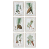 Napa Home Pine Tree Study - Set of 6