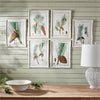 Napa Home Pine Tree Study - Set of 6