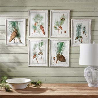 Napa Home Pine Tree Study - Set of 6