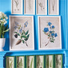 Napa Home & Garden Yellow Flower Prints - Set of 4